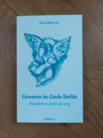 Blijlevens Klaas - Ruusbroec - Groeien in Gods liefde, Boeken, Ophalen of Verzenden, Zo goed als nieuw, Blijlevens Klaas