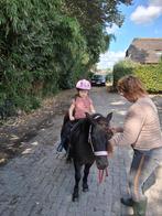 Lieve shetlander pony en merrie veulen, Dieren en Toebehoren, Merrie, A pony (tot 1.17m), Recreatiepony, Gechipt