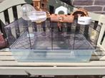 Grote hamsterkooi met accessoires, Dieren en Toebehoren, Knaagdieren en Konijnen | Hokken en Kooien, Kooi, Gebruikt, Minder dan 75 cm