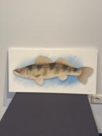 Grote keramische wandtegel – Baars vis | 30x60 cm | uniek, Antiek en Kunst, Ophalen
