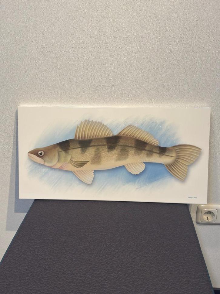 Grote keramische wandtegel – Baars vis | 30x60 cm | uniek, Antiek en Kunst, Antiek | Wandborden en Tegels, Ophalen