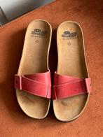 Scholl leren slippers/voetenbed mt. 41-42 koraal kleur, Scholl, Slippers, Roze, Zo goed als nieuw