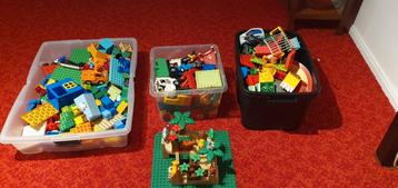 Grote partij Duplo - Veel speelplezier! beschikbaar voor biedingen