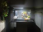 Aquarium met led verlichting, Dieren en Toebehoren, Ophalen, Zo goed als nieuw, Verlichting of Verwarming