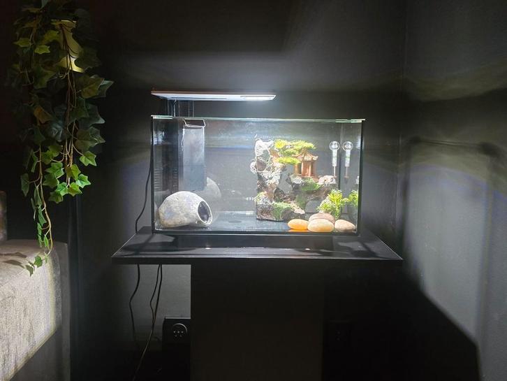 Aquarium met led verlichting, Dieren en Toebehoren, Vissen | Aquaria en Toebehoren, Zo goed als nieuw, Verlichting of Verwarming
