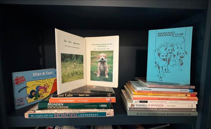 Boeken over honden - diverse titels, Boeken, Dieren en Huisdieren, Gelezen, Ophalen of Verzenden