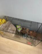 Hamsterkooi, Dieren en Toebehoren, Juli, Geslacht onbekend, Hamster