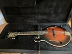 Michael Kelly Mandoline F-Style Fishman, Ophalen, Gebruikt