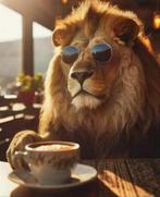 Website laten aanpassen met oa SEO | in Amsterdam, Variabele uren, Overige niveaus, Vanaf 10 jaar, Overige vormen