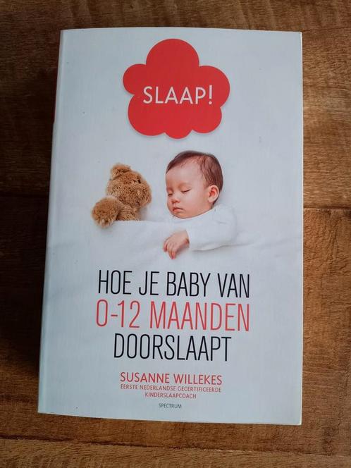 Susanne Willekes - Slaap!, Boeken, Zwangerschap en Opvoeding, Zo goed als nieuw, Ophalen of Verzenden