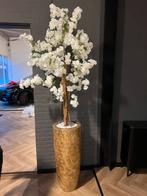 Schelpenvaas incl bloesem of plant 2,5 meter, Ophalen of Verzenden, Nieuw, Overige kleuren, 75 cm of meer