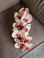 Orchidee tak ( kunst), Ophalen of Verzenden