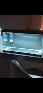 Te.koop.mooie aquarium  60 cm, Ophalen, Zo goed als nieuw, Leeg aquarium