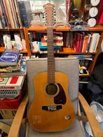 Ibanez V302 12-snarige gitaar - Vintage!, Muziek en Instrumenten, Snaarinstrumenten | Gitaren | Akoestisch, Ophalen of Verzenden