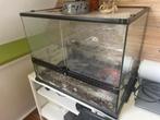 Terrarium Exo Terra, Ophalen, Gebruikt, Terrarium of Paludarium