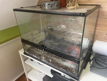 Terrarium Exo Terra  beschikbaar voor biedingen
