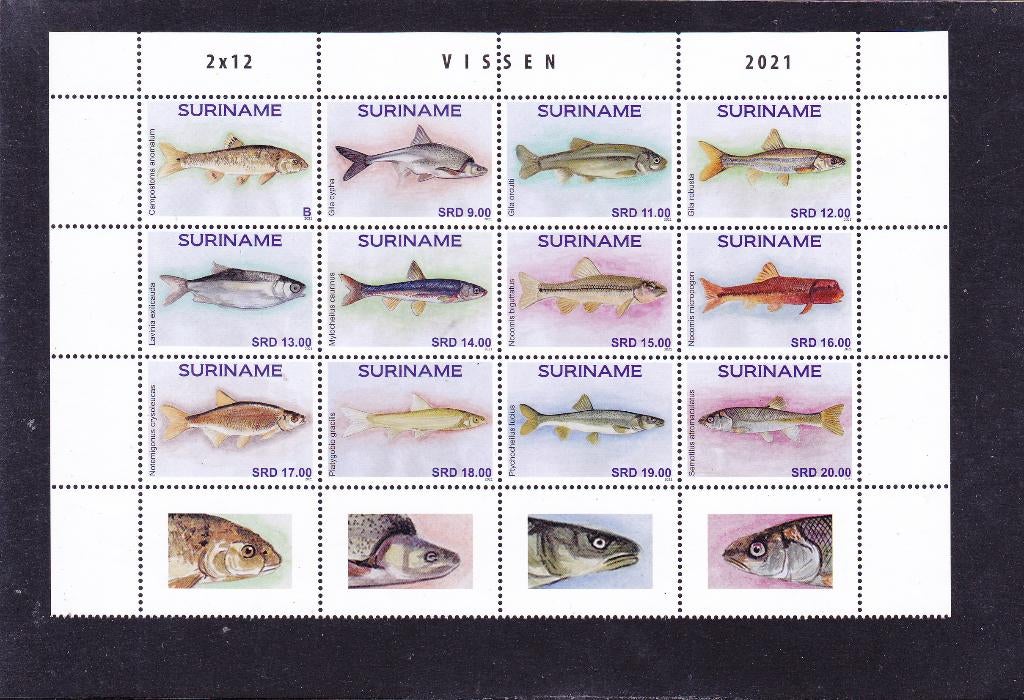 Suriname 2703/14 Vissen 2021 (596), Verzenden, Postfris