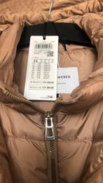 Gerry Weber Winterjas - Nieuw - Maat 44, Kleding | Dames, Jassen | Winter, Ophalen of Verzenden, Nieuw, Maat 42/44 (L)