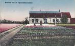 Hyacintenvelden (1922), Ophalen of Verzenden, 1920 tot 1940, Gelopen, Zuid-Holland