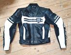 Difi Racing motorpak maat 36 dames, Dames, Combipak, Difi, Ophalen of Verzenden