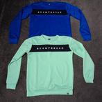 2 longsleeves truien maat 170, Ophalen of Verzenden, Gebruikt, Jongen, Trui of Vest