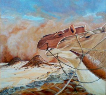 Schilderij kamelen in woestijnstorm 80x80 cm gesigneerd