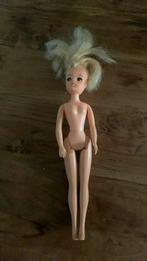 ‘Cindy  ‘ pop, Kinderen en Baby's, Speelgoed | Poppen, Ophalen of Verzenden, Zo goed als nieuw, Barbie