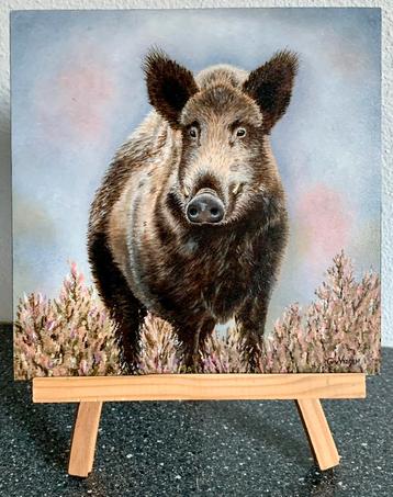 Schilderij Wild Zwijn - dierenkunst beschikbaar voor biedingen