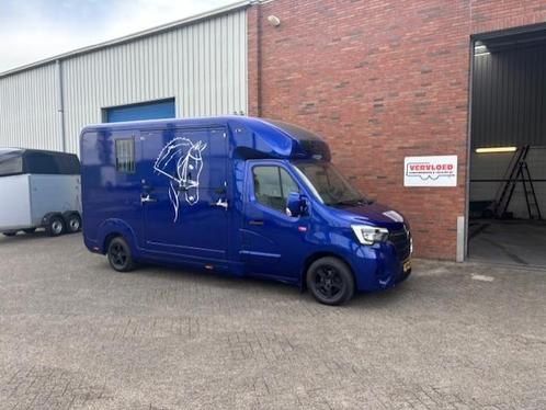 Occasion STX paardenwagen Renault Master automaat, Dieren en Toebehoren, Paarden en Pony's | Trailers en Aanhangwagens, Gebruikt