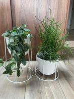 2x Menu Wire Pot wit - Deens Design Bloempot, Rond, Binnen, Ophalen of Verzenden, Zo goed als nieuw