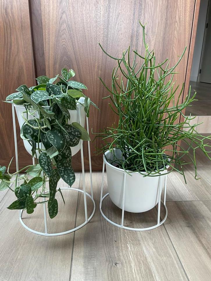2x Menu Wire Pot wit - Deens Design Bloempot, Tuin en Terras, Bloempotten, Zo goed als nieuw, Metaal, Binnen, Minder dan 40 cm