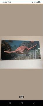 Foto op plexiglas 120 x 60, Ophalen, Zo goed als nieuw, Foto of Poster, 75 cm of meer