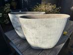 2 Grijze Plantenpotten Betonlook, Ophalen, Gebruikt, Minder dan 60 cm, Binnen