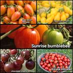 diverse zaden tomaten bloemen pepers groente, Tuin en Terras, Bloembollen en Zaden, Ophalen of Verzenden