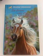 De droom van Fabio - Christine Linneweever, Ophalen of Verzenden, Zo goed als nieuw, Fictie algemeen