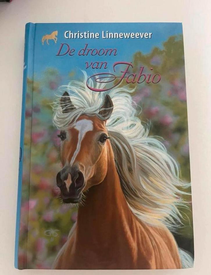 De droom van Fabio - Christine Linneweever, Boeken, Kinderboeken | Jeugd | onder 10 jaar, Zo goed als nieuw, Fictie algemeen, Ophalen of Verzenden
