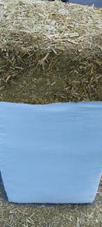 Luzerne plus 20 kg balen.  Varkens kippen paarden, Ophalen of Verzenden, Stokman, Stokmanjan@yahoo.com, 7447AD