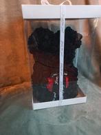 Rozenbeer zwart met rood hart 24 cm Nieuw, Ophalen of Verzenden, Nieuw, Stoffen beer, Overige merken