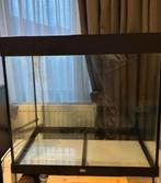 Juwel terrarium, Ophalen, Gebruikt, 60 tot 90 cm, Minder dan 75 cm