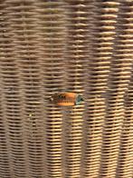 Lloyd Loom Rotan Stoel 4 stuks, Antiek en Kunst, Antiek | Meubels | Stoelen en Banken, Ophalen of Verzenden