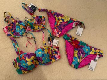 Nieuwe Prima Donna Swim Sazan beschikbaar voor biedingen
