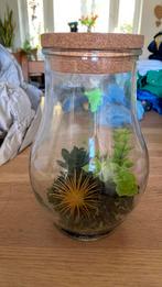 Terrarium met kurk nog nieuw!, Huis en Inrichting, Ophalen, Nieuw