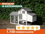 Kippenhok voor beginners | Bouwpakket Eggy S, Dieren en Toebehoren, Pluimvee | Toebehoren, Ophalen of Verzenden, Nieuw, Kippenhok of Kippenren