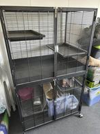 Grote rattenkooi, Ophalen of Verzenden, Kooi, Minder dan 60 cm