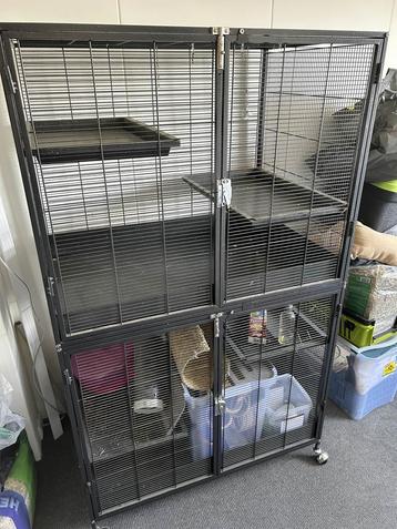 Grote rattenkooi beschikbaar voor biedingen