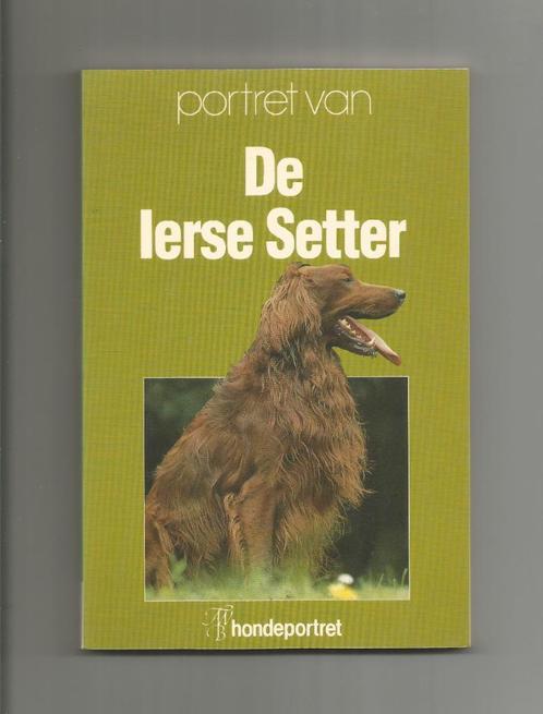 Portret van De Ierse Setter, Boeken, Dieren en Huisdieren, Nieuw, Honden, Ophalen of Verzenden