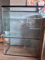 Ratten en Gerbil kooi van glas met attributen, Dieren en Toebehoren, Knaagdieren en Konijnen | Hokken en Kooien, Ophalen, Gebruikt