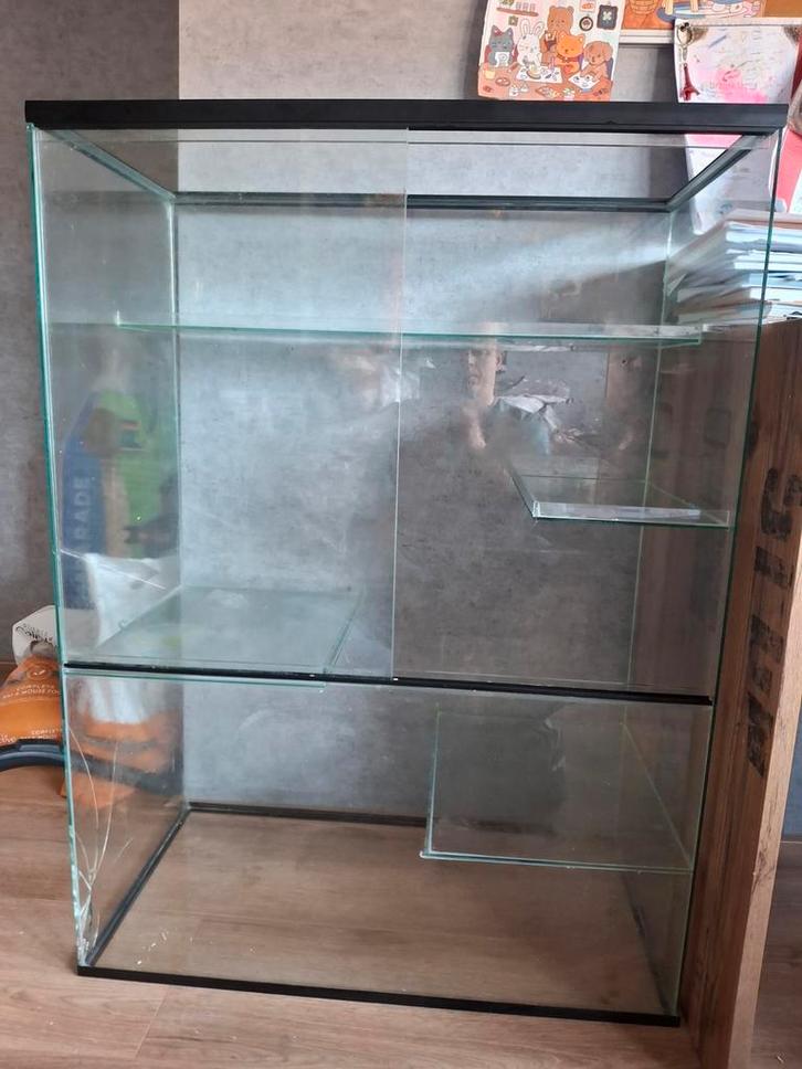 Ratten en Gerbil kooi van glas met attributen, Dieren en Toebehoren, Knaagdieren en Konijnen | Hokken en Kooien, Gebruikt, Kooi