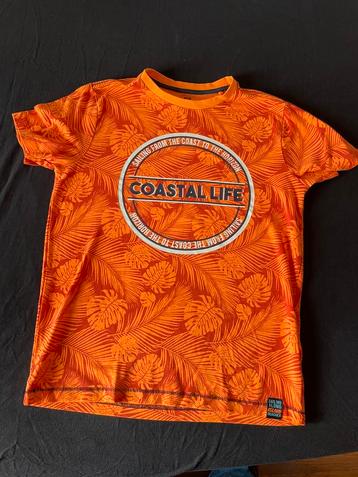 Tshirt pakket (7) salty dogg/hm/we maat 146/152 beschikbaar voor biedingen