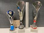Trofeeën/wedstrijdbekers/sportprijzen/bokalen (set 13), Sport en Fitness, Ophalen of Verzenden, Gebruikt